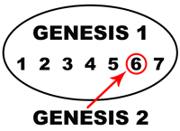 Genesis 1 & 2.png